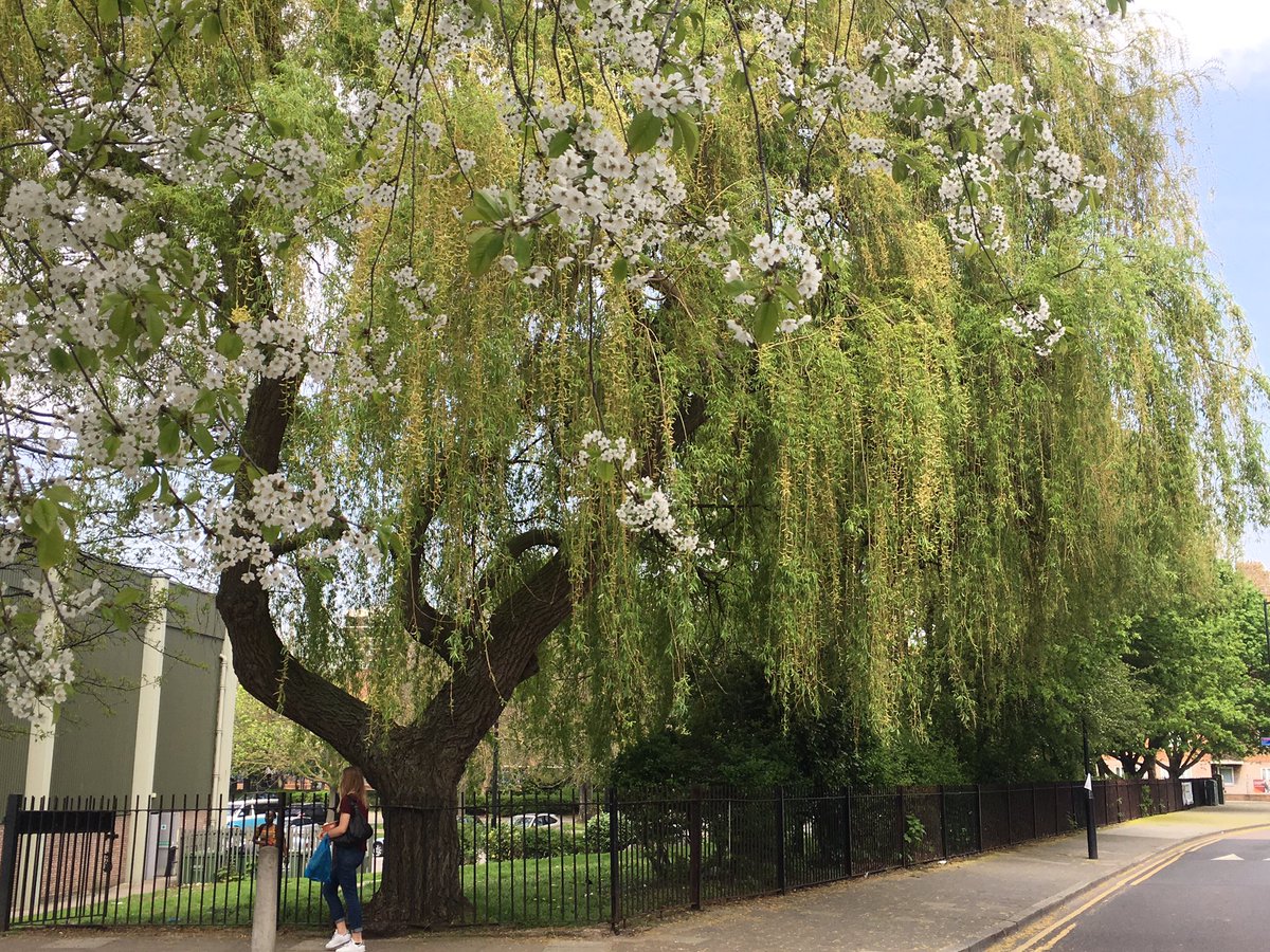 Robin Hawkes tweet media