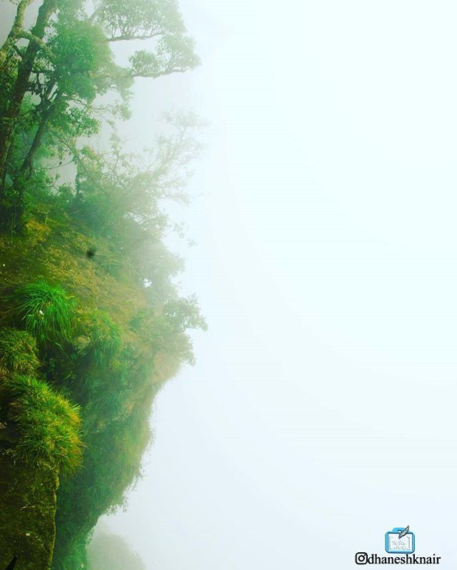 dhaneshnair's tweet photo. Foggy

#nmclickz #dhaneshknair #landscapephotography #dslrphotography #kodaikanal #foggyday #fun #nature #india #tamilnadu #hillstation #summerescape https://t.co/V6tNKybQ41 https://t.co/wUFsdFUsgY