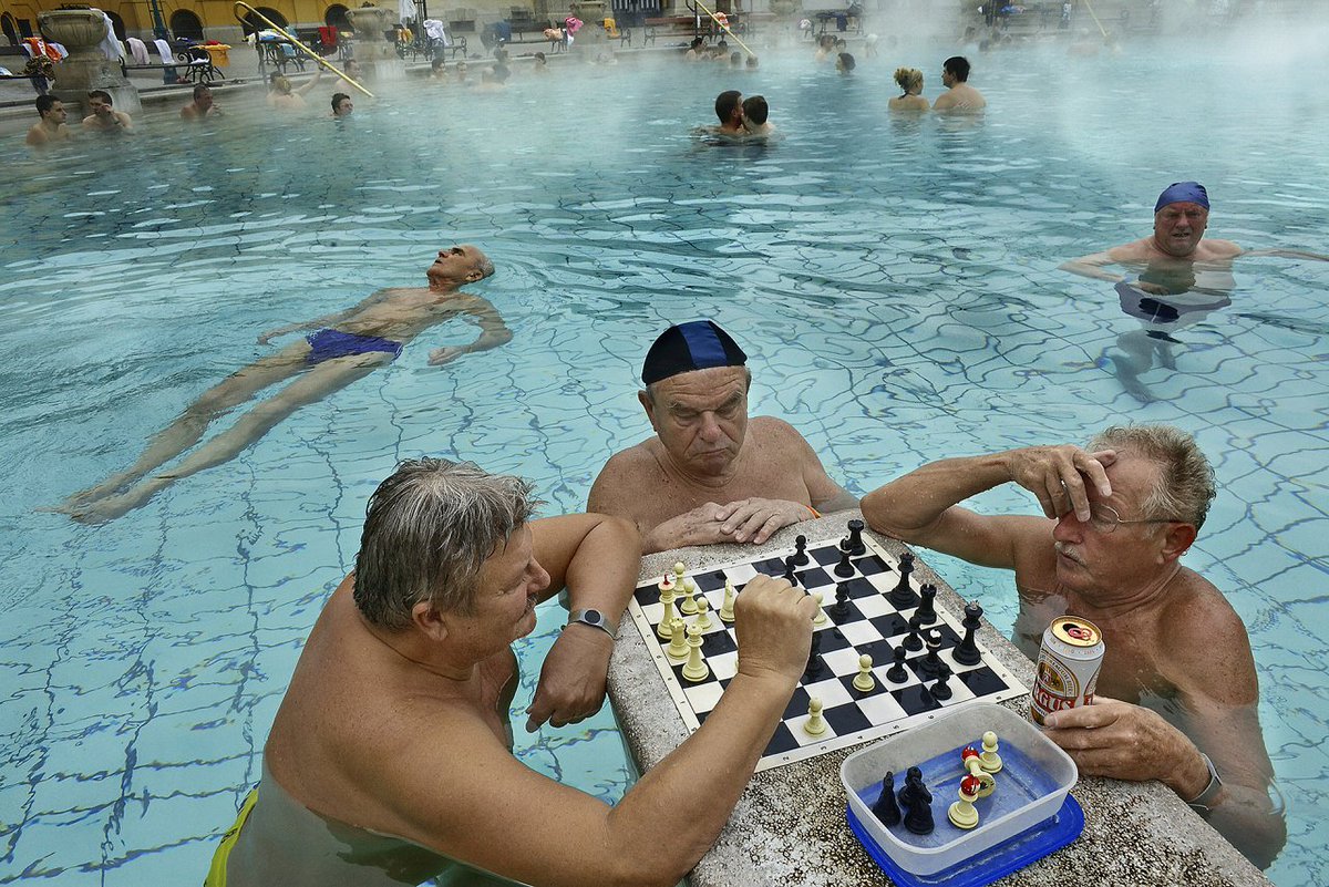 AndegemonClub's tweet photo. #Échecs #Chess #Шахматы #Scacchi #Schack #Schach #Skak♟️
#Ajedrez #Szachy #Schaak #Xadrez #Sakk #Bains #Budapest🇭🇺 https://t.co/uqksbLUnvn