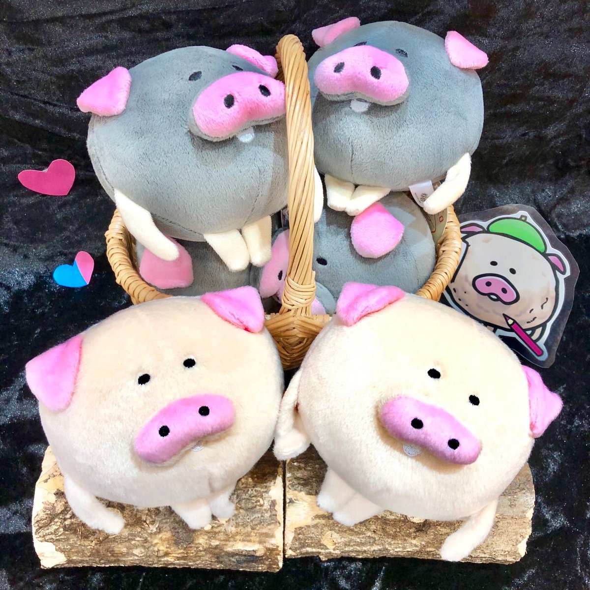 なめこ市場 東京本店 Twitter પર 色違いで揃えるとよりかわいい トリュフなめこたち 単品ぬいぐるみお取り扱い中です 白トリュフなめこ ぬいぐるみ 1 296円 税込 黒トリュフなめこ ぬいぐるみ 1 0円 税込 Nameko 東京駅 東京キャラクター なめこ市場 東京本店 Twitter પર 色違いで揃えるとよりかわいい トリュフなめこたち 単品ぬいぐるみお取り扱い中です 白トリュフなめこ ぬいぐるみ 1 296円 税込 黒トリュフなめこ ぬいぐるみ 1 0円 税込 Nameko 東京駅 東京キャラクター