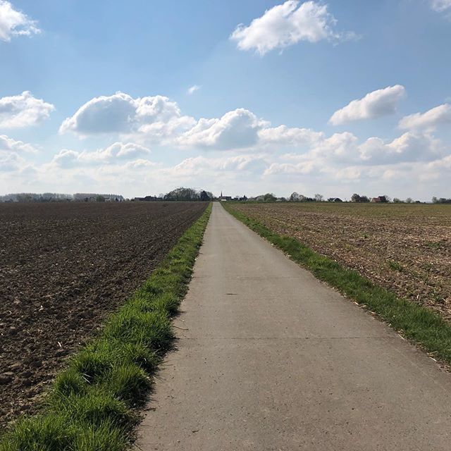 EOpsteyn's tweet photo. Last year in June we had a 10.000 steps challenge organized by our employer. I wonder if a new campaign will be launched soon? 🤔#alreadytraining 😉 #unwind #10000steps #teambayerbenelux https://t.co/6obO6XBV6g https://t.co/UvLiSVDfzQ