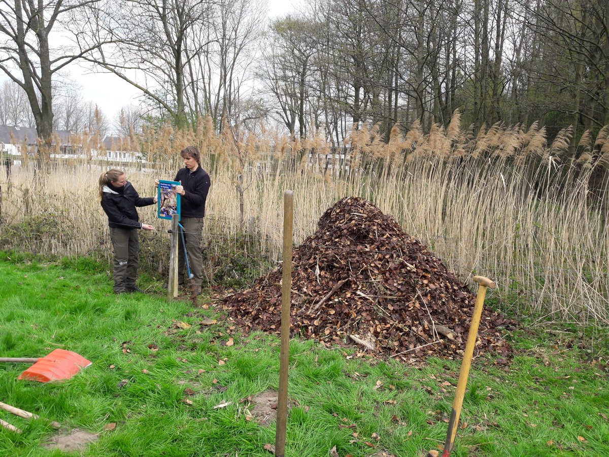 snortikker's tweet photo. Samen met @HotelVaalsbroek en @RAVON , vrijwilligers de eerste #broeihoop gemaakt voor de ringslang in @gemvaals Mengsel : takken, paardenmest en bladeren en gras. https://t.co/dKDmKnnrbJ