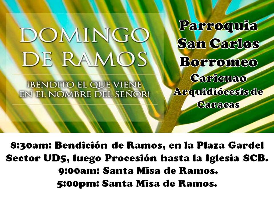 Scarlosborromeo's tweet photo. #DomingoDeRamos 14/Abril/2019 #Parroquia #SanCarlosBorromeo #Caricuao #CC2 #UD5 #UD6 #Caracas #SemanaSanta2019 https://t.co/tFHXs4qUEa