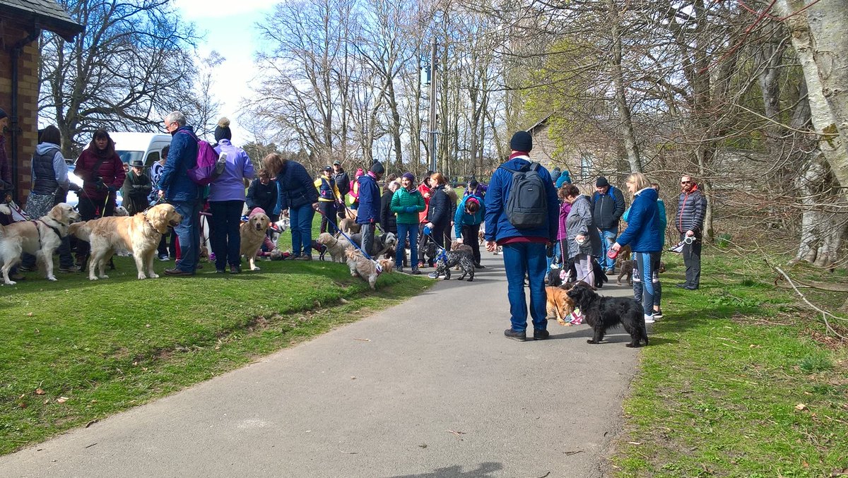 great british dog walk 2019