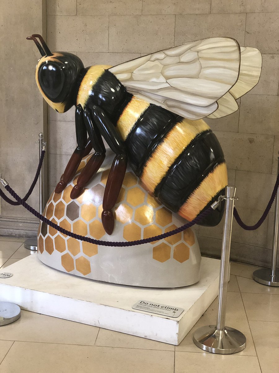 tecmcr's tweet photo. Come down to @MancLibraries #stpeterssquare 12-4 today activities for Kids 5-12yrs ! @MCCWorkSkills #saturdayspectacular @ukfast & @TechMCR teams volunteers running coding games & fun activities all day!! https://t.co/VlKHORG4zM