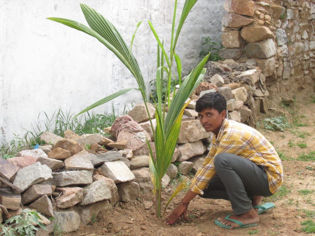 cgrindiaimpact's tweet photo. Doulthabad Plantation

#CouncilforGreenRevolution #Plantation #Tree #PlantationofTrees #Environment #EnvironmentDevelopment https://t.co/MyvoYDGdhc