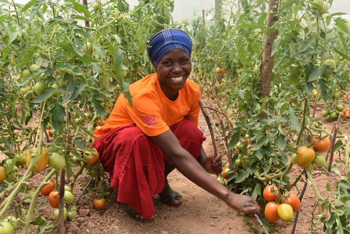 FAO's tweet photo. When rural women have equal access to resources we will be one step close to #ZeroHunger.

Today less than 15% of all landholders are #women.

This needs to change. https://t.co/HOIpbE15So