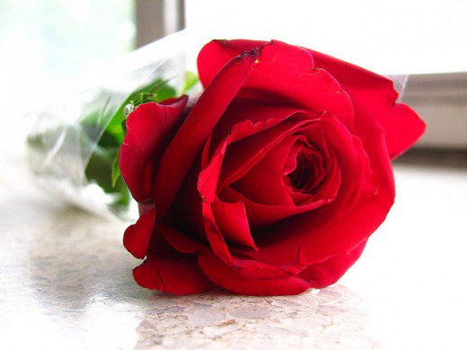 WaqarAslam โ๏ธ(Vickey)โ๏ธโ๏ธ (@vickey_aslam) on Twitter photo <a href="/taxi_ede/">VIEdeTAXI</a> <a href="/SebastianHine/">Sebastian Hine</a> <a href="/empresario/">Empresario</a> <a href="/MoreiEnf/">Jorge Moreira</a> <a href="/henniuk/">henni</a> <a href="/AlbertoJor18/">๐จ๐๐๐๐๐๐ ๐ฑ.</a> <a href="/noornoo77056192/">๐N๐N00R๐The lover</a> <a href="/Sk14391138812/">Sk 143</a> <a href="/SultanAliqazi/">Sultan Ali qazi</a> <a href="/QuattroMori61/">Quattromori61</a> <a href="/laquerenda/">QUERENDA</a> <a href="/marrac7873/">Marcin Raczkaโ๐ต๐ฑ</a> <a href="/tuncay6969/">Tolga</a> @JAGDISHRAI053 <a href="/KatanaHugo/">Alessandro โ๏ธ NO DM</a> @MaviTutku83 <a href="/sedat0057/">Sedat ucuncuoglu</a> <a href="/Jendrekan/">ฮฮฝฮดฯฮตฮฑฯ</a> <a href="/AhmedSh46815578/">AHMED ๐ช๐ฌ SHARAF ๐ช๐ฌ ELDEN</a> <a href="/ahmarhasan28/">SYED AHMAR HASAN</a> <a href="/shaabanoo/">mohamed shaaban</a> <a href="/mohamedkhedr__/">Mohamed</a> <a href="/English1Maiden/">Veritatis Cupitor</a> @Veilleu_Claud <a href="/hakozerolu/">hakkฤฑ ozeroglu</a> <a href="/HaithamWork/">๐ช๐ฌ HAITHAM</a> <a href="/mhall55nine/">Michael Hall</a> <a href="/KhalilGaz/">Khalil Gaz</a> Beautiful Evening To Lovely ANNY โค Beautiful ๐ซ๐ท๐๐น <a href="/taxi_ede/">VIEdeTAXI</a> <a href="/SebastianHine/">Sebastian Hine</a> <a href="/empresario/">Empresario</a> <a href="/MoreiEnf/">Jorge Moreira</a> <a href="/henniuk/">henni</a> <a href="/AlbertoJor18/">๐จ๐๐๐๐๐๐ ๐ฑ.</a> <a href="/noornoo77056192/">๐N๐N00R๐The lover</a> <a href="/Sk14391138812/">Sk 143</a> <a href="/SultanAliqazi/">Sultan Ali qazi</a> <a href="/QuattroMori61/">Quattromori61</a> <a href="/laquerenda/">QUERENDA</a> <a href="/marrac7873/">Marcin Raczkaโ๐ต๐ฑ</a> <a href="/tuncay6969/">Tolga</a> @JAGDISHRAI053 <a href="/KatanaHugo/">Alessandro โ๏ธ NO DM</a> @MaviTutku83 <a href="/sedat0057/">Sedat ucuncuoglu</a> <a href="/Jendrekan/">ฮฮฝฮดฯฮตฮฑฯ</a> <a href="/AhmedSh46815578/">AHMED ๐ช๐ฌ SHARAF ๐ช๐ฌ ELDEN</a> <a href="/ahmarhasan28/">SYED AHMAR HASAN</a> <a href="/shaabanoo/">mohamed shaaban</a> <a href="/mohamedkhedr__/">Mohamed</a> <a href="/English1Maiden/">Veritatis Cupitor</a> @Veilleu_Claud <a href="/hakozerolu/">hakkฤฑ ozeroglu</a> <a href="/HaithamWork/">๐ช๐ฌ HAITHAM</a> <a href="/mhall55nine/">Michael Hall</a> <a href="/KhalilGaz/">Khalil Gaz</a> Beautiful Evening To Lovely ANNY โค Beautiful ๐ซ๐ท๐๐น