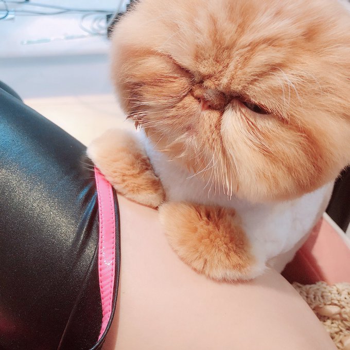 Twitterのコスプレ画像78