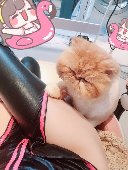 Twitterのコスプレ画像77