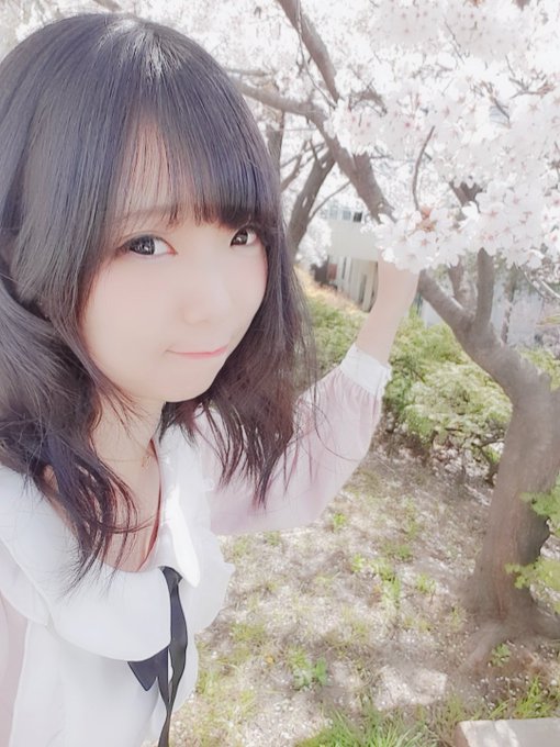 コスプレイヤーHattie(へティー)のTwitter画像59
