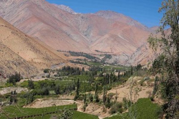 DFinanciero's tweet photo. #DFWeekend | El pisco chileno contraataca ante la arremetida peruana https://t.co/0o8GhzshEn https://t.co/JGt843FFcc