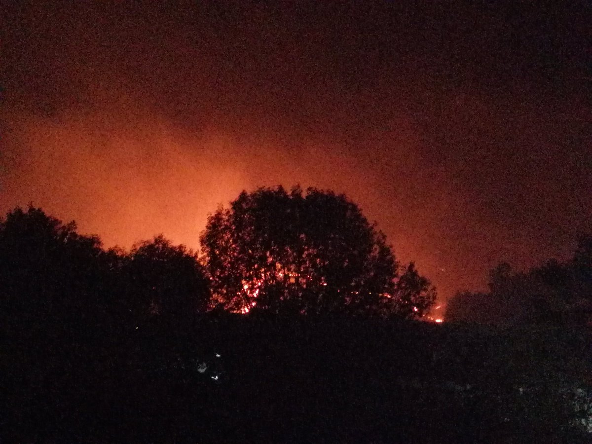 SoftGama's tweet photo. Deprimente ver esto, desafortunadamente seguimos haciendo lo de siempre, quejarnos y no hacer nada por cambiarlo, esto no es de gobierno es de nosotros como personas. #BosqueDeLaPrimavera #incendioforestal https://t.co/DlcIQerHMe