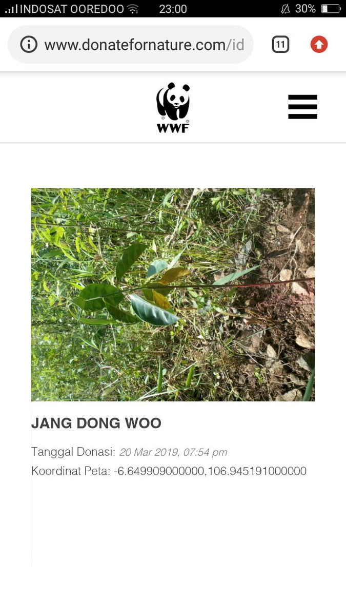 InfiniteLjong's tweet image. Uwu pohonnya Dongwoo #mybabytree