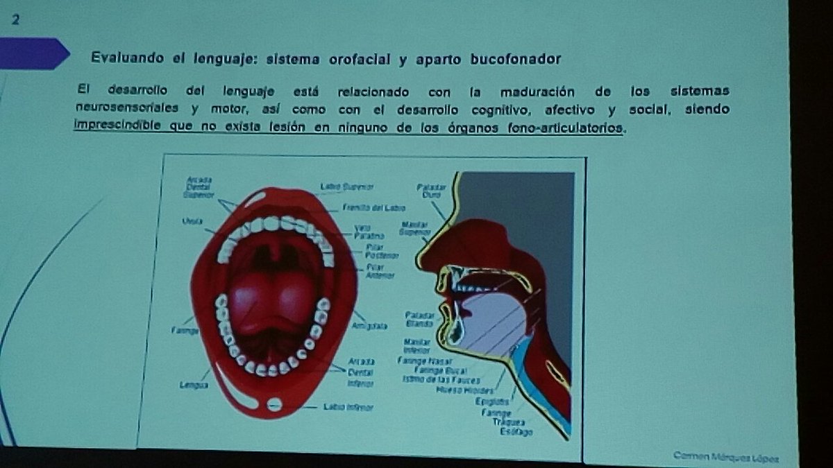 #JornadaAspau
