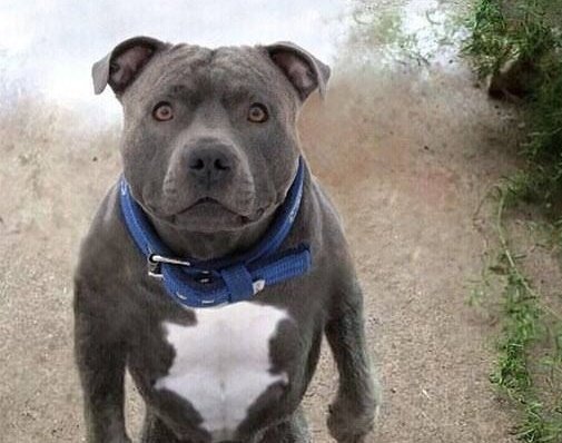 PryceSA1's tweet image. #IscefeIsSomeoneWho asks do u have a car, lyk she has it! 😪