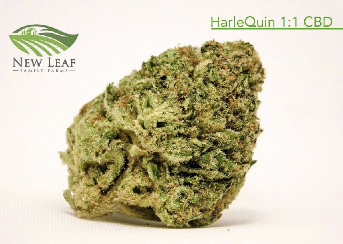 NewLeafFarms's tweet photo. #Harlequin #knowyourgrower #cleanmeds #sungrowncannabis #sungrownperfection #newleaffarms #cannabiscommunity #cacompliant #montereycounty #cbd https://t.co/PTS8vxgfWp