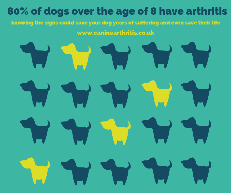 CAMarthritis tweet picture