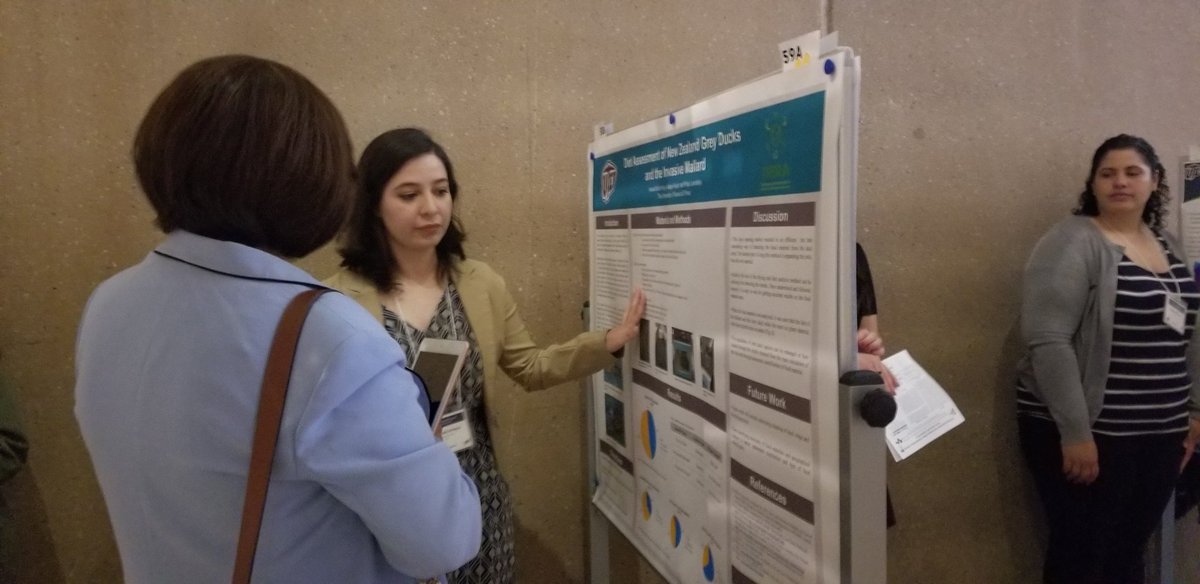 utepbc's tweet photo. UTEPBC students are presenting at today's #COURI Symposium! Our undergrads are doing #scicomm and great research! https://t.co/WYykDDImN5