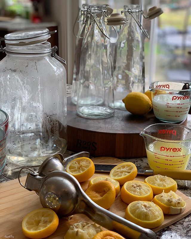 I LOVE lemons. I love lemon anything! So today I’m attempting to make fermented, probiotic lemonade. Catch you in 3 - 7 days...🤞🏻
.
.
.
.
.
.
.
#lemons #fermentation #fermentedfoods #probiotics #lemonade  instagram.com/p/BwM4xzMlIvf/