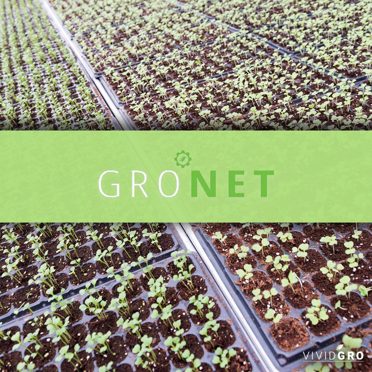 VividGro's tweet photo. When you're ready for an indoor precision #agriculture platform that meets your needs... you're ready for GroNet! 🙌🏽🌱
Give us a shout if you'd like more info:
https://t.co/o0mH4ujOgU https://t.co/ky6McXzaED