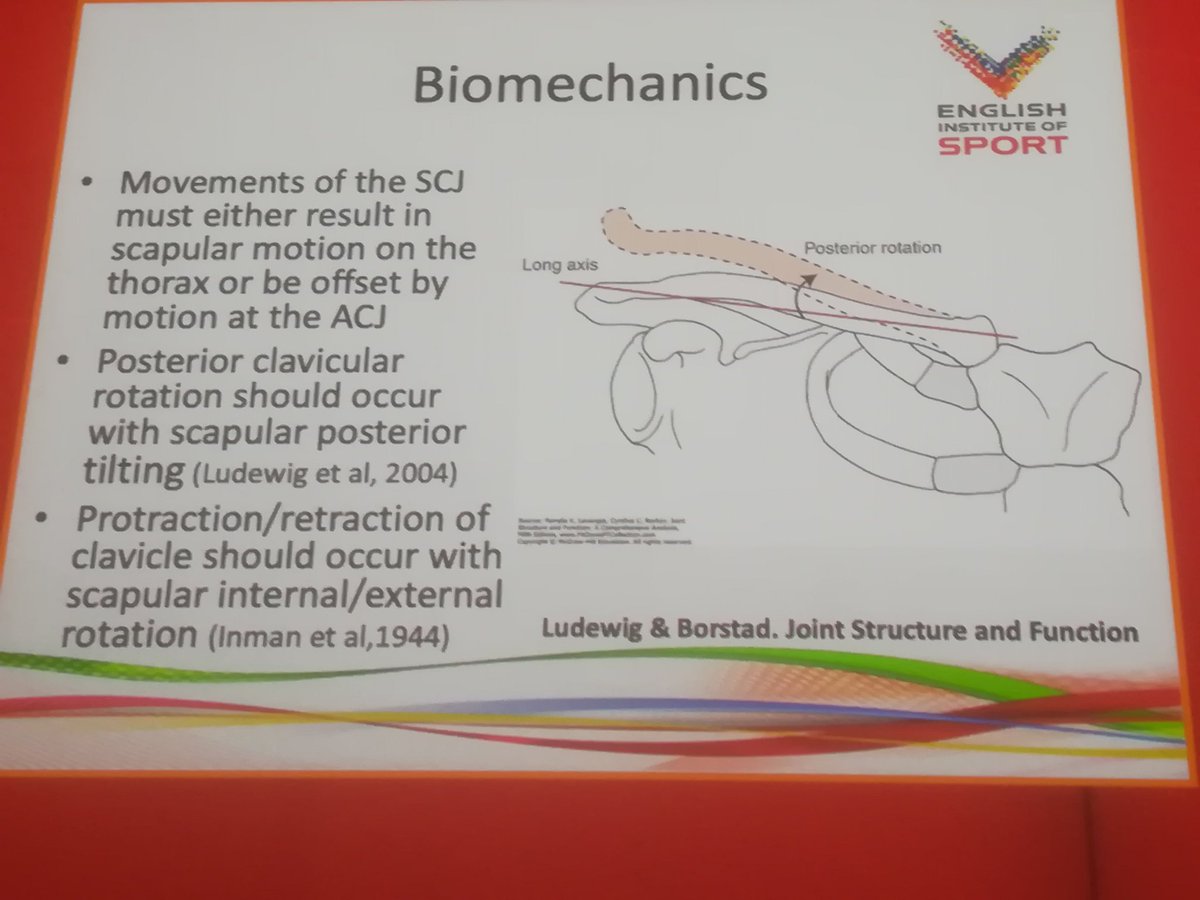 gerard_koel's tweet photo. @Back_in_Action Ian Horsley emphasizes the relevancy of the SC joint, #mt2day most important movement is posterior rotation of the clavicula. https://t.co/EFsSMJP16T