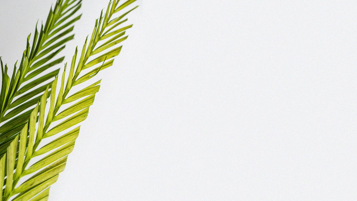 richvillodas's tweet photo. [THREAD] Ever wonder why we wave Palms in church on Palm Sunday? Here’s some historical and theological perspective: https://t.co/sYfmIs2VGa