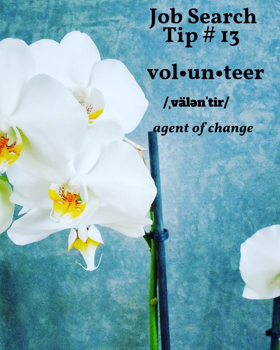 UJCareerService's tweet photo. Happy Saturday UJπ, you can get working experience through volunteering at various organisations both in and outside of your particular career field.
#PersonalGrowth
#ProfessionalDevelopment
#JobSearchLikeABoss
#JobSearchTips
#UJCareerServices
#YourCareerReimagined https://t.co/TEJfoBDM8z