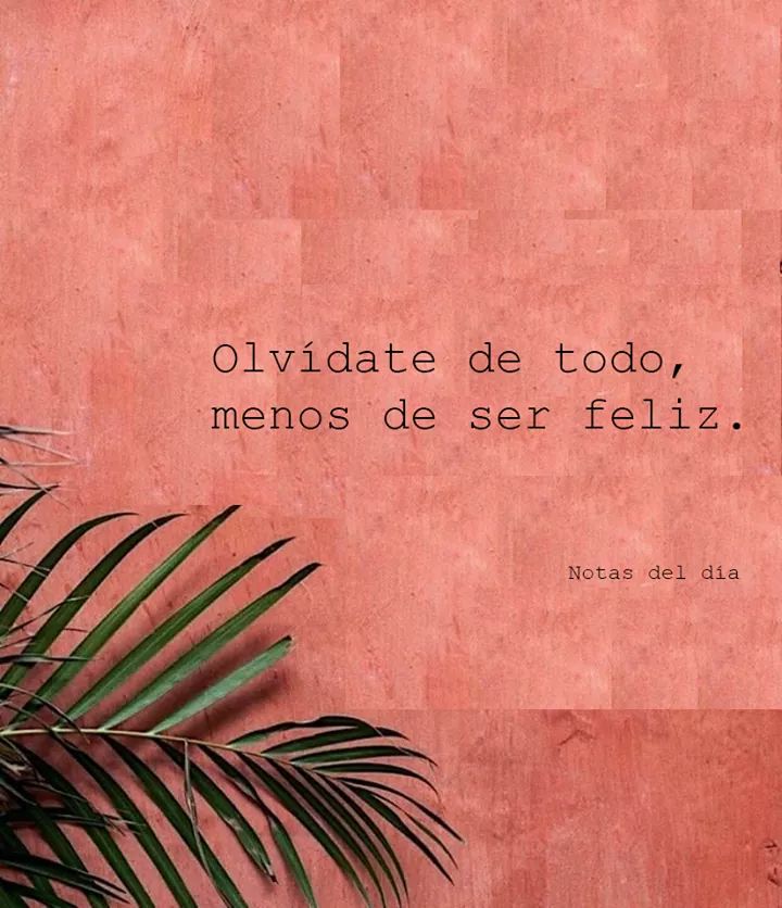 AniDeLaOssa🌻 tweet media