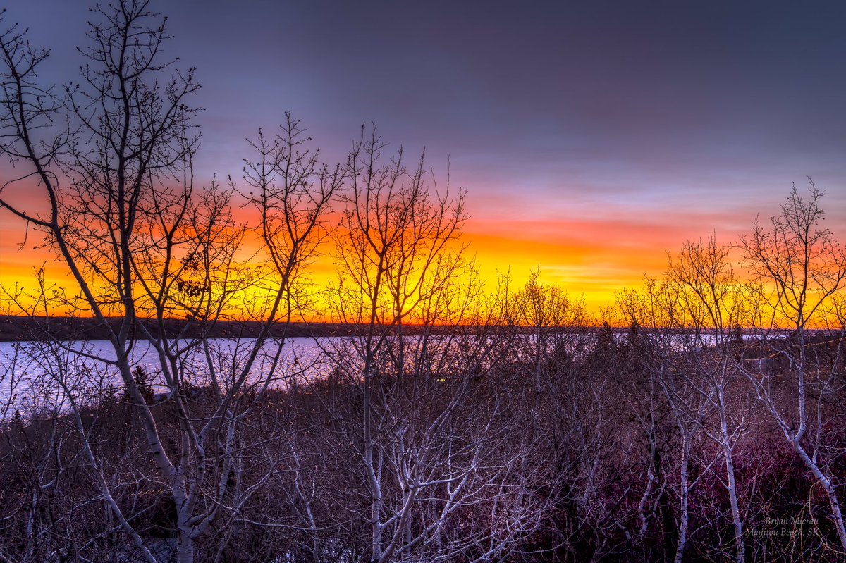 BryanMierau's tweet photo. Spring sunrise over the frozen Little Manitou Lake

#manitoumoments #NYIP @watrous_manitou #saskatchewan #meanwhileinsask @prairiesnorth #tourismsask #skskies #saskphotos
@PQuinlanGlobal @GlobalSaskatoon #saskatchewanphotographer #exploresask #cbcsklens #sunrise #spring https://t.co/pYnhw4d9Du