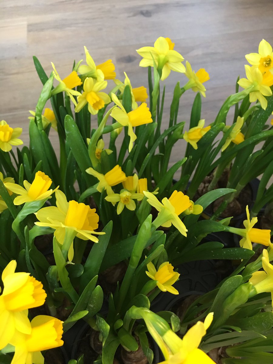 De lente en de Duitse Paasvakantie zijn begonnen, ook bij De Muy! #demuybungalows