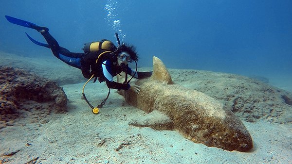 Sezonu Açıyoruz ! 20 - 21 Nisan Kaş Dalışımız 🌞 😎 🐠 - eepurl.com/gnVAmf
