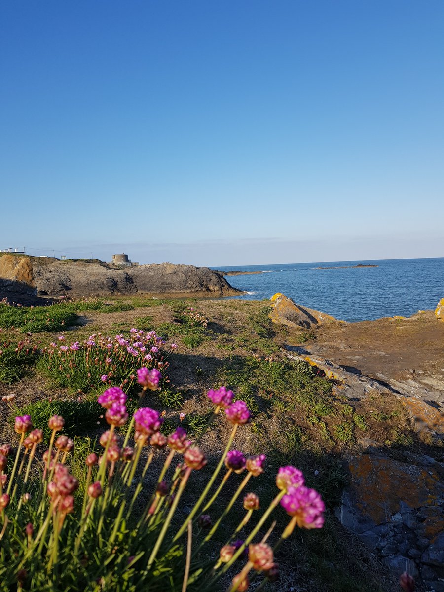 Fully guided Cliff Walk Tours from Donabates Martello Tower to Portranes Martello Tower. Stunning Views of Lambay Island and Howth Head from the cliffs.