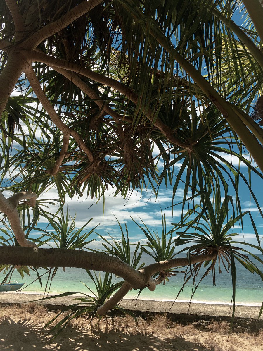 ronypoop's tweet image. When you find yourself in a secluded beach ❤️.