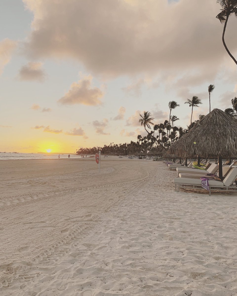 ResortDiaries's tweet photo. All we need is the sun, the sand and the palm trees 🌴 ☀️ #WhereYouWantToBe #ResortDiaries https://t.co/ytCDvfR6Yj