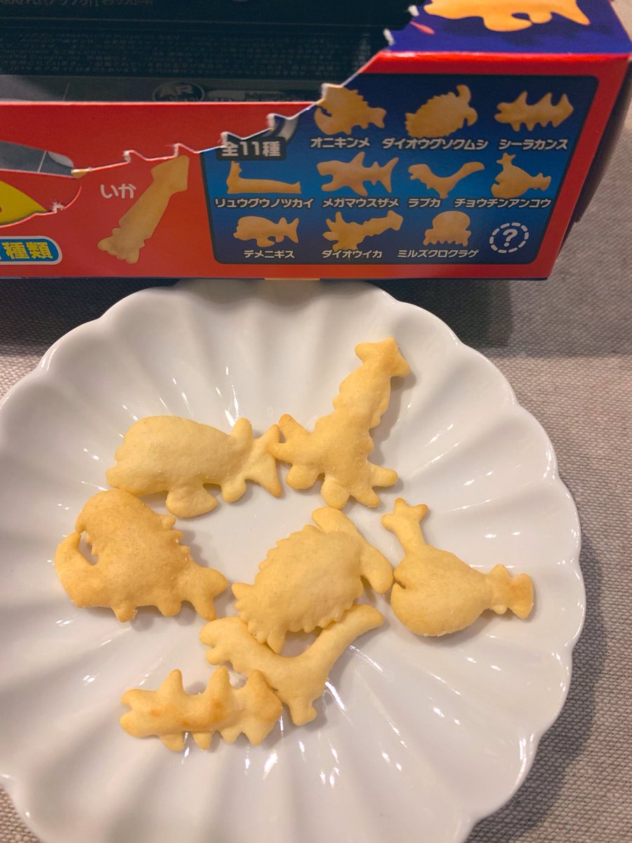 気質アップ サメ おっとっと コレクション 趣味 Reachahand Org