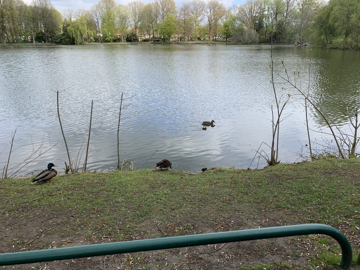 Charlie Kock tweet media