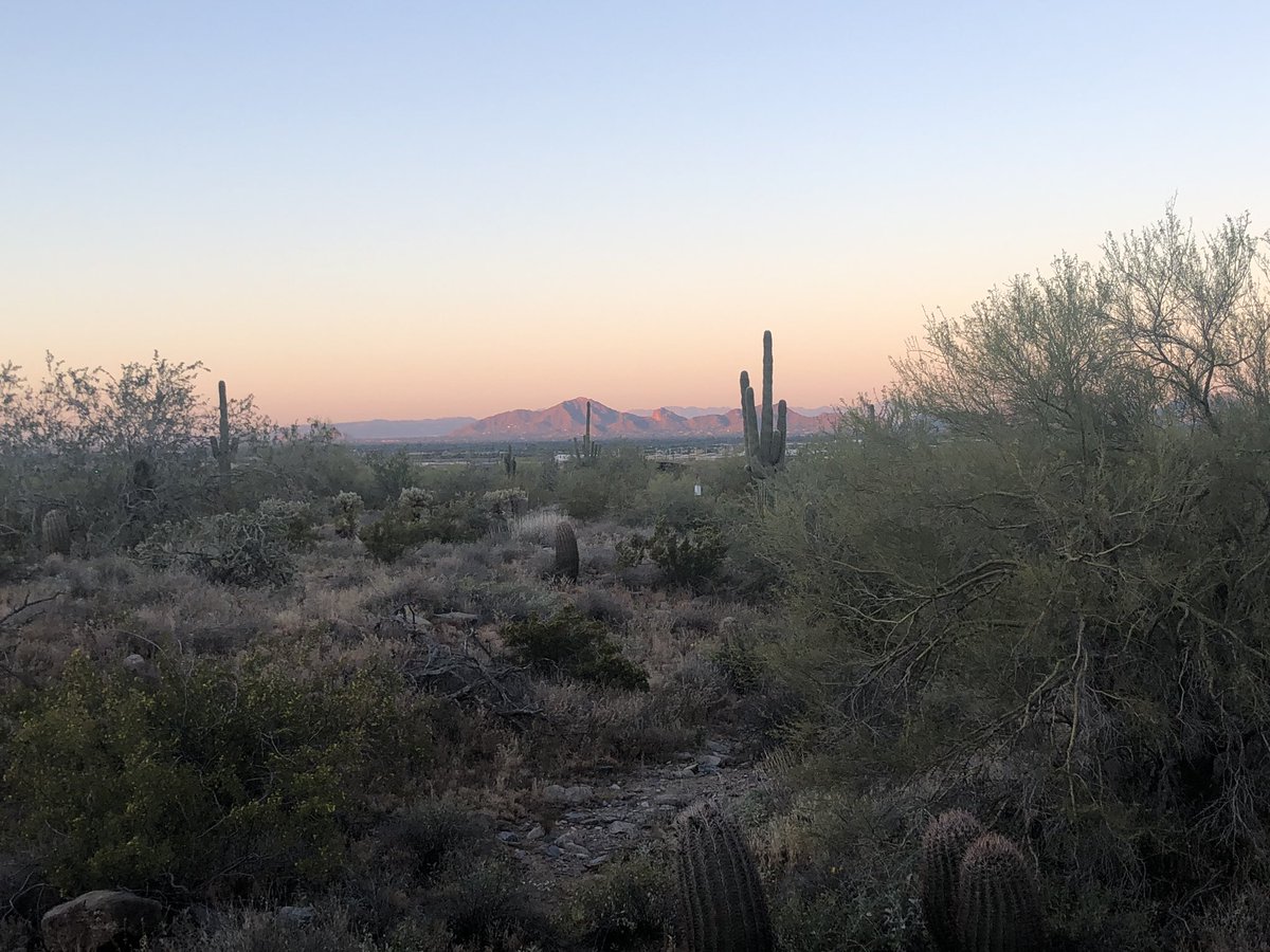 OncLive's tweet photo. Starting up our Gateway Loop hike in Scottsdale with @mjh_pr Executive Board! #MJH_EB 🐍🌵@GIcancerDoc @donnashort @jlepping2013 https://t.co/rkR4oJp43u