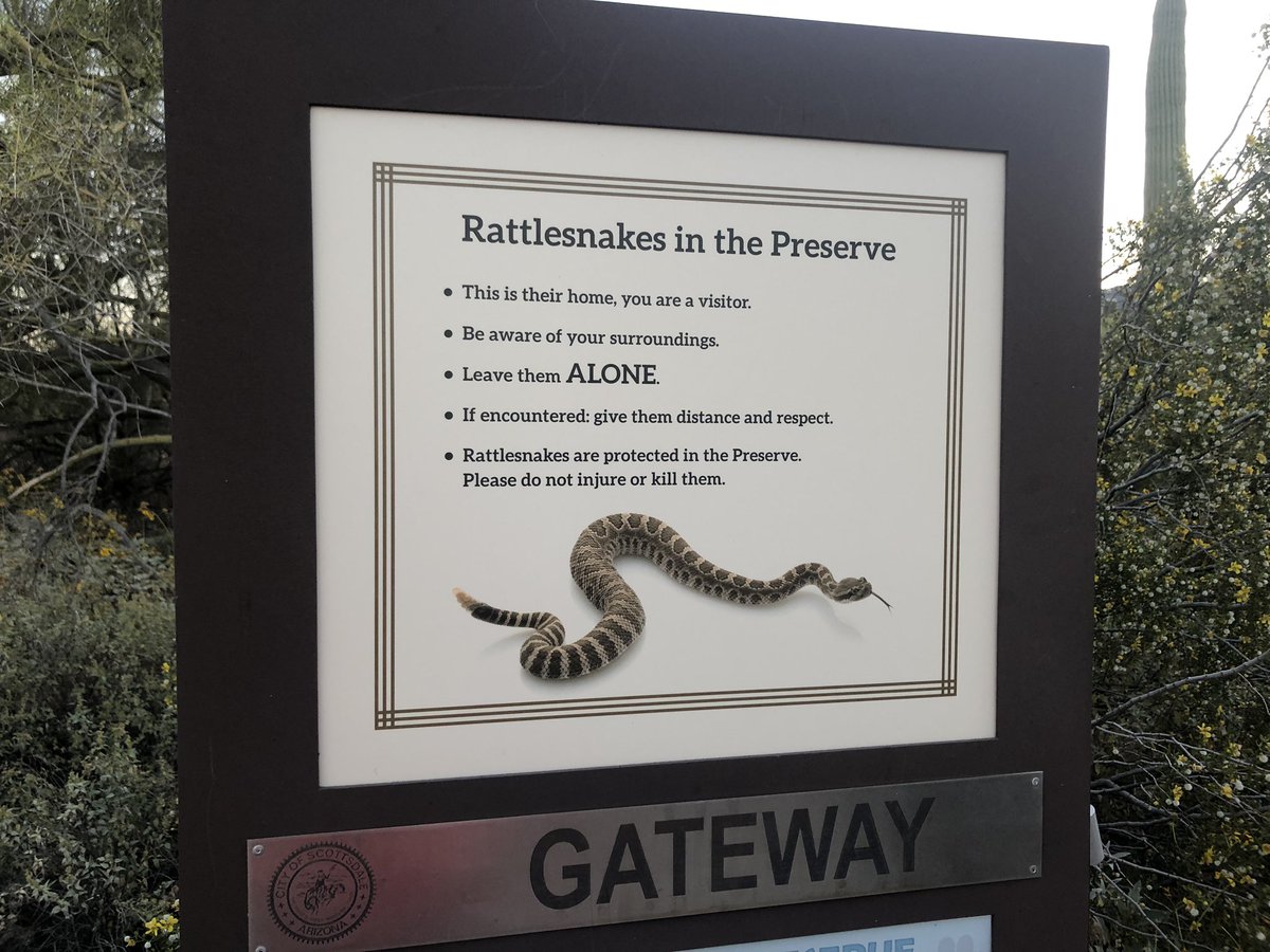 OncLive's tweet photo. Starting up our Gateway Loop hike in Scottsdale with @mjh_pr Executive Board! #MJH_EB 🐍🌵@GIcancerDoc @donnashort @jlepping2013 https://t.co/rkR4oJp43u
