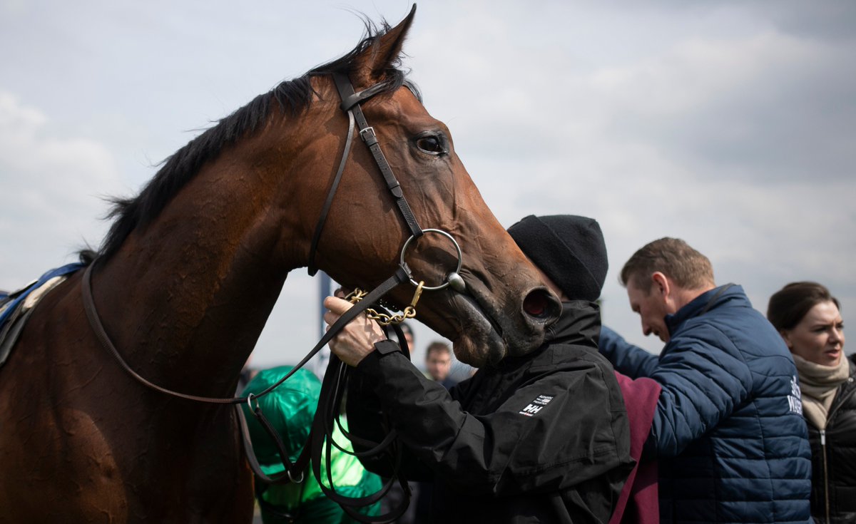 RacingPost's tweet photo. Here's Monarch Of Egypt, a son of US Triple Crown winner American Pharoah, making an impressive winning debut at Naas

Pics📸: @patrickmccannrp https://t.co/zk8Axz4t0C