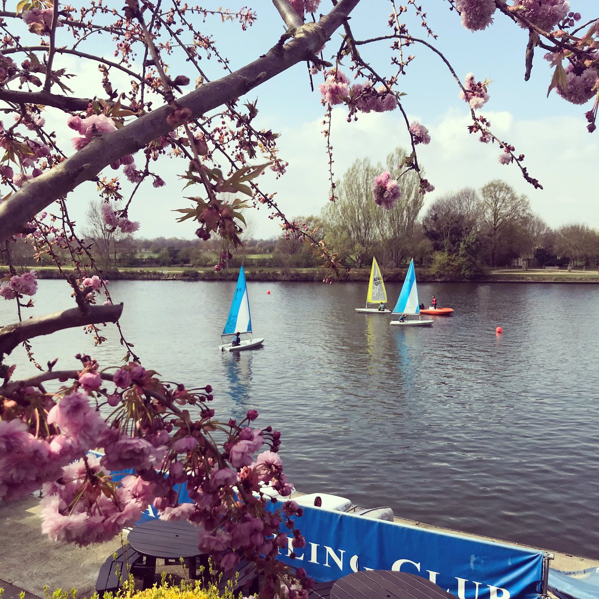 Thames Sailing Club tweet media