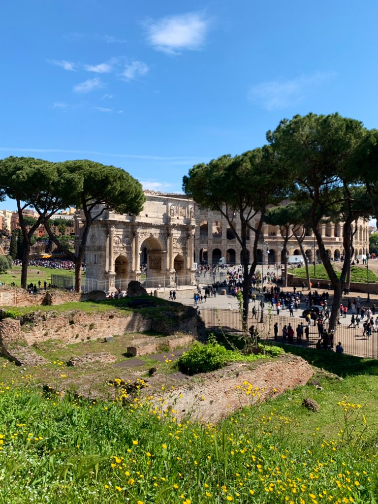 TravelRams's tweet photo. Day 2 Continued- the Colosseum &amp; Forum part 2 https://t.co/JOE8uBjtsw