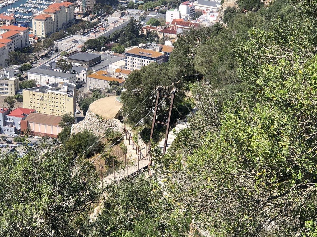 #Gibraltar #BritishOverseasTerritory #WindsorSuspensionBridge #UpperRockNatureReserve absolutely marvellous 😍👌🏻🇬🇮