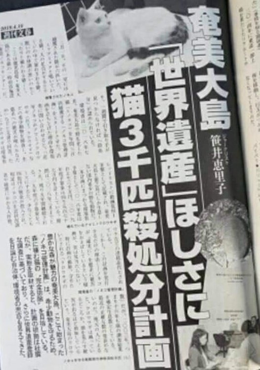 わさびマヨ※プライベートしばらく超多忙😅リプ等にバラつきあるかもです、すみません🙏🙇 tweet media