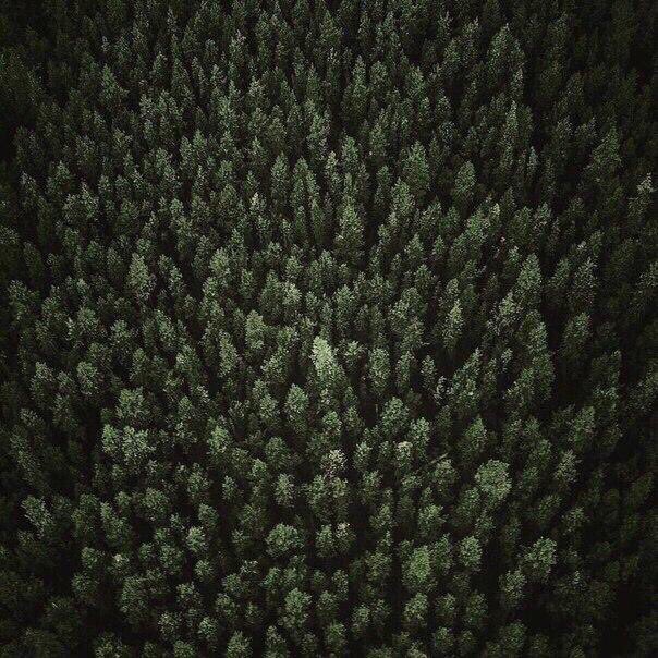 minimalism (@youminimalism) on Twitter photo 