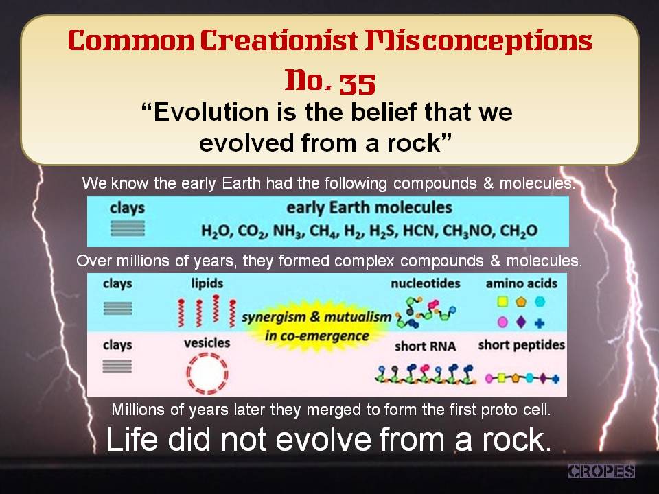 Creationist Misconceptions tweet media