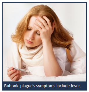 shovas's tweet photo. Somebody please roast/meme this image from a Bubonic Plague article. No comment necessary why, I hope. https://t.co/7RnebWSLUO #meme #dankmeme #roastmeme #roast #redditmemes #reddit https://t.co/GVbOAApaFB