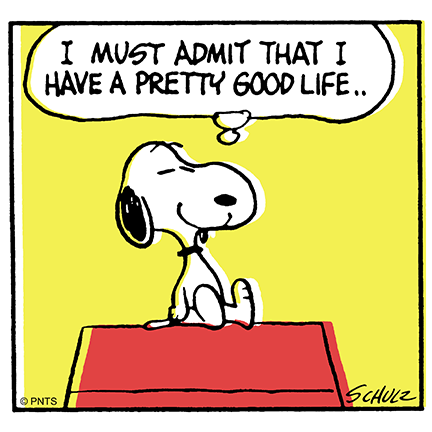 PEANUTS on X: "Life is good. https://t.co/g93l5K4BgC" / X