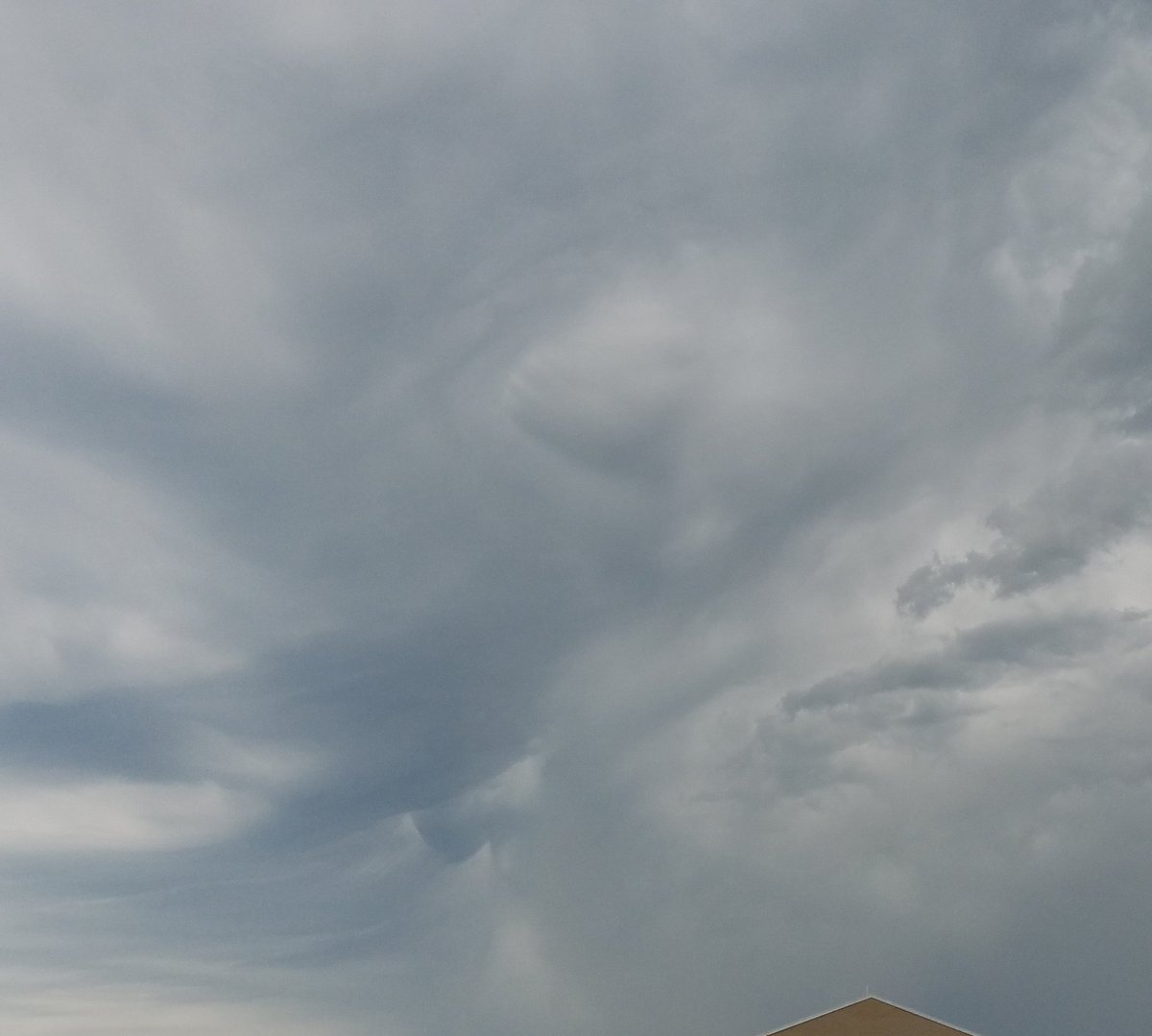 kamrabug tweet media