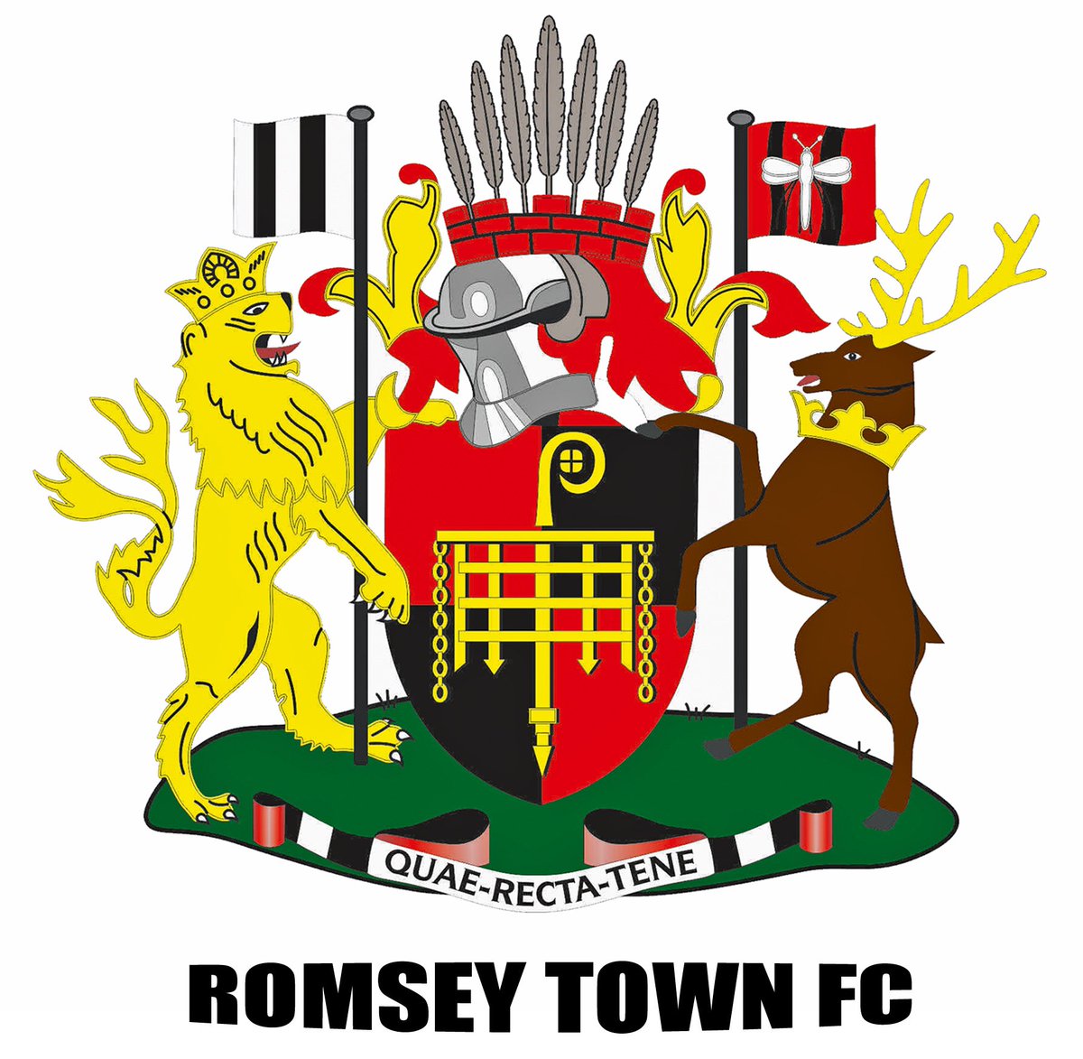 Romseytownfc1's tweet image. Harry Draycott with another cracker from outside the area puts Town 1 up after 15 mins
@usportsmouthfc 0 - 1 Romsey